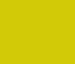 laccato_Giallo_Canarino