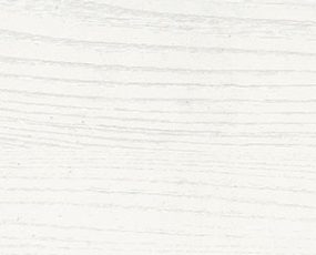 olmo-gesso-1