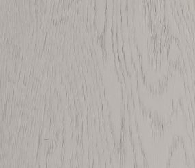 rovere_conchiglia_anteprima