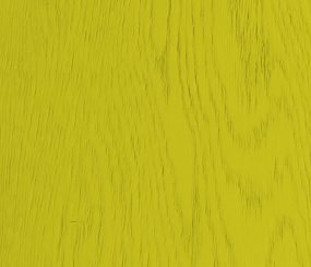 rovere_giallo_canarino_anteprima