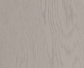 rovere_nebbia_anteprima