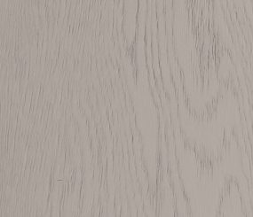 rovere_nebbia_anteprima